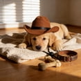 thumbnail image 5 of syligr Dog Cowboy Hat Pet Costume Adjustable Soft Halloween Party Decoration for Small Dogs Puppy Photo Props Western Themed Pet Accessories for Indoor Outdoor Celebration and Birthday Gift, 5 of 6