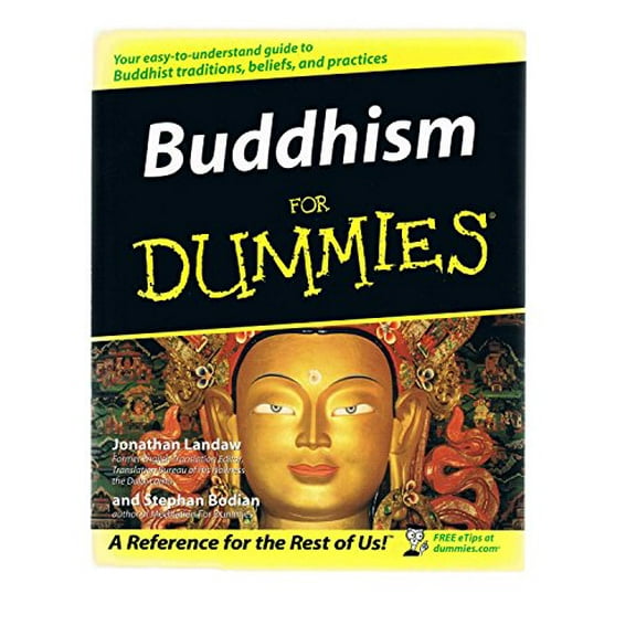 Pre-Owned Buddhism for Dummies (Paperback) 0764553593 9780764553592