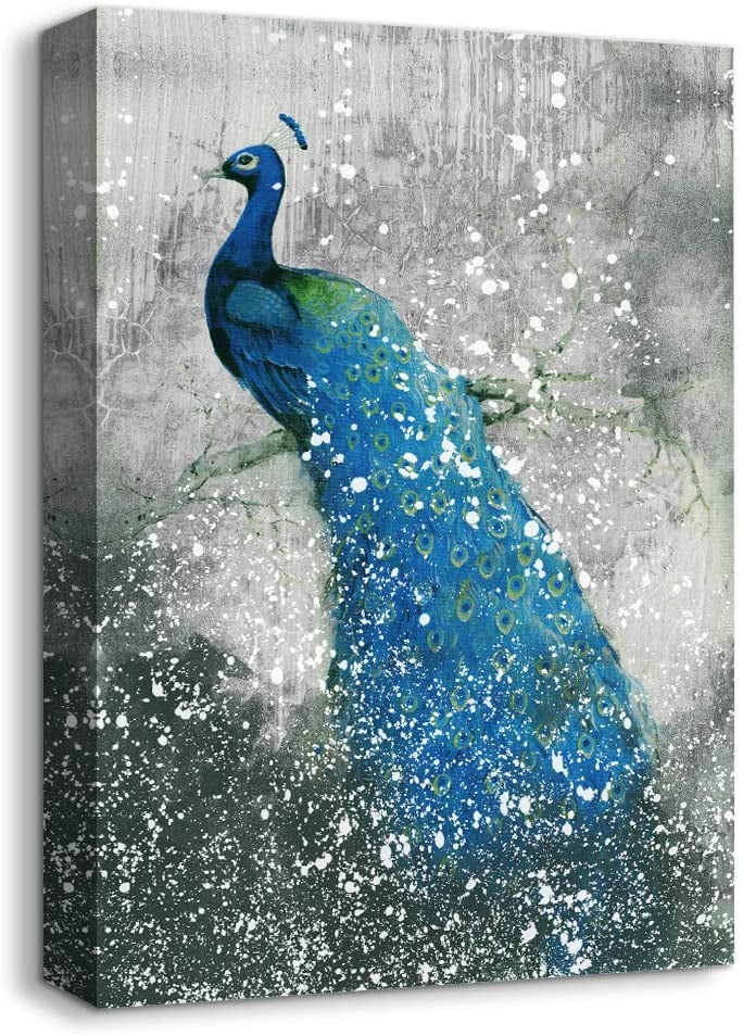 Portrait Of Peacock Art Print Home Decor Wall Art Poster C 