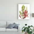 thumbnail image 3 of Trademark Fine Art 'Seaweed Garden I' Canvas Art by Jennifer Goldberger, 3 of 4