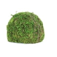 thumbnail image 5 of Galapagos Mossy Dome Terrarium Hideaway, Fresh Green, 1 Each/6 in, 5 of 7