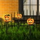 thumbnail image 5 of Xihbxyly Farol Solar de Calabaza, Luces Decorativas de Halloween, Decoración de Exteriores de Bajo Consumo, Diseño Fantasma, Resistencia Al Agua Ip65, Instalación En Estaca de Jardín, Ambiente de Pat, 5 of 5