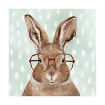 Trademark Fine Art 'Four eyed Forester III' Canvas Art by Victoria Borges