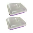 thumbnail image 4 of jinwen 2 Pieces Garden Seed Tray PP Seed Sprouting Kit Sprouting Container Violet, 4 of 9