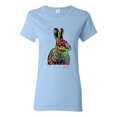 thumbnail image 1 of Colorful Rainbow Rabbit Animal Lover Womens Graphic T-Shirt, Light Blue, Medium, 1 of 3