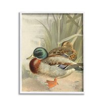 Stupell Industries Pond Ducks Relaxing Animals & Insects Painting White Framed Art Print Wall Art, 16 x 20