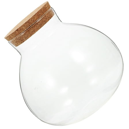 BESTOYARD Modern Transparent Glass Terrarium Container for Plant Display and Party Table Accents