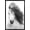 Black Framed Version, variant on Grayscale Horse Wall Poster, 22.375" x 34"