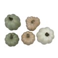 thumbnail image 5 of Way to Celebrate Green\Cream|\Tan Bagged Mini Pumpkin 5pc, 5 of 5