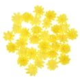 thumbnail image 2 of EeaseCA 100Pcs Diffuser Flowers Diffuser Chrysanthemum Aromatherapy Accessories, 2 of 8