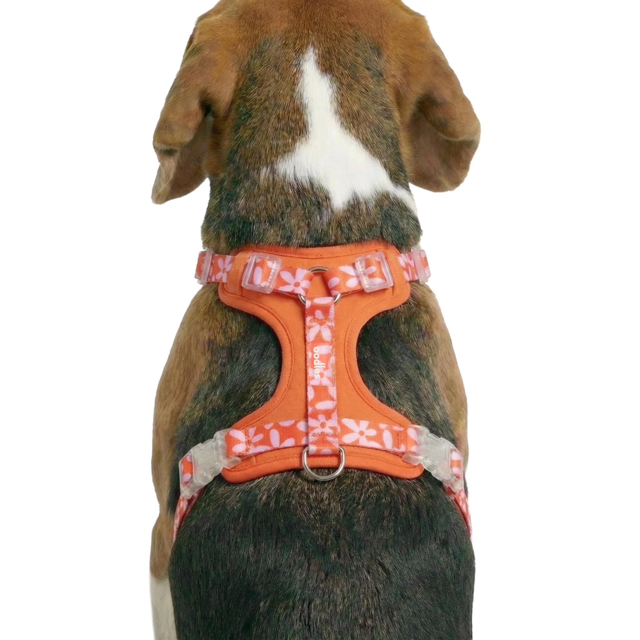 Oodles Wild Blooms Adjustable Mesh Dog Walking Harness, Red, Large