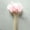 Pink, variant on 30PCS Natural Rabbit Tail Grass Dried Household Flower Decorations Festive Party Supplies