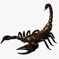 thumbnail image 2 of Scorpion Wall Mural Decal Sticker, Wallmonkeys Peel & Stick Vinyl Graphic (24 in W x 22 in H, 2 of 4