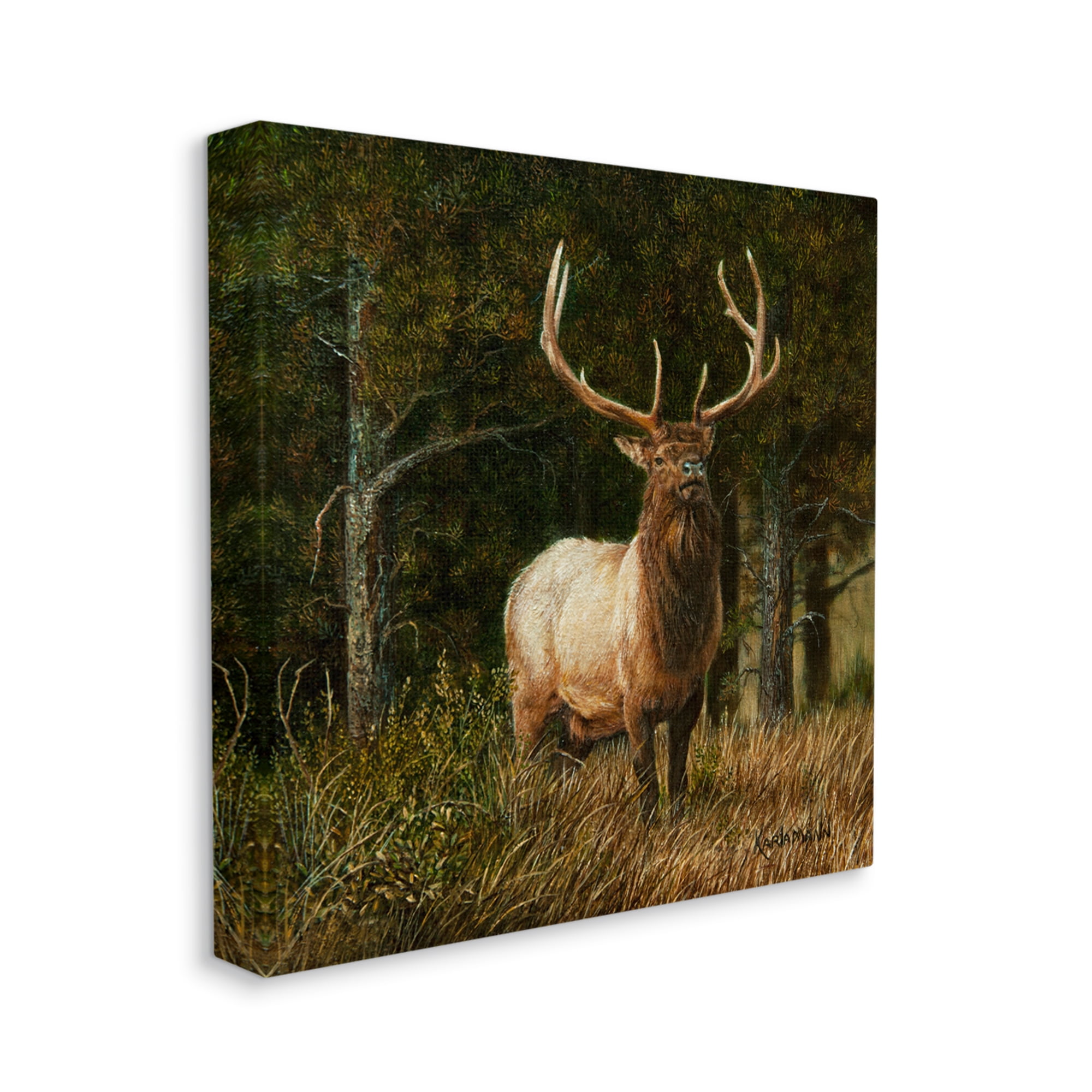 Stupell Industries Elk in Forest Painting Animals & Insects Painting Gallery Wrapped Canvas Art Print Wall Art, 24 x 24