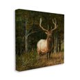 thumbnail image 4 of Stupell Industries Elk in Forest Painting Animals & Insects Painting Gallery Wrapped Canvas Art Print Wall Art, 30 x 30, 4 of 8