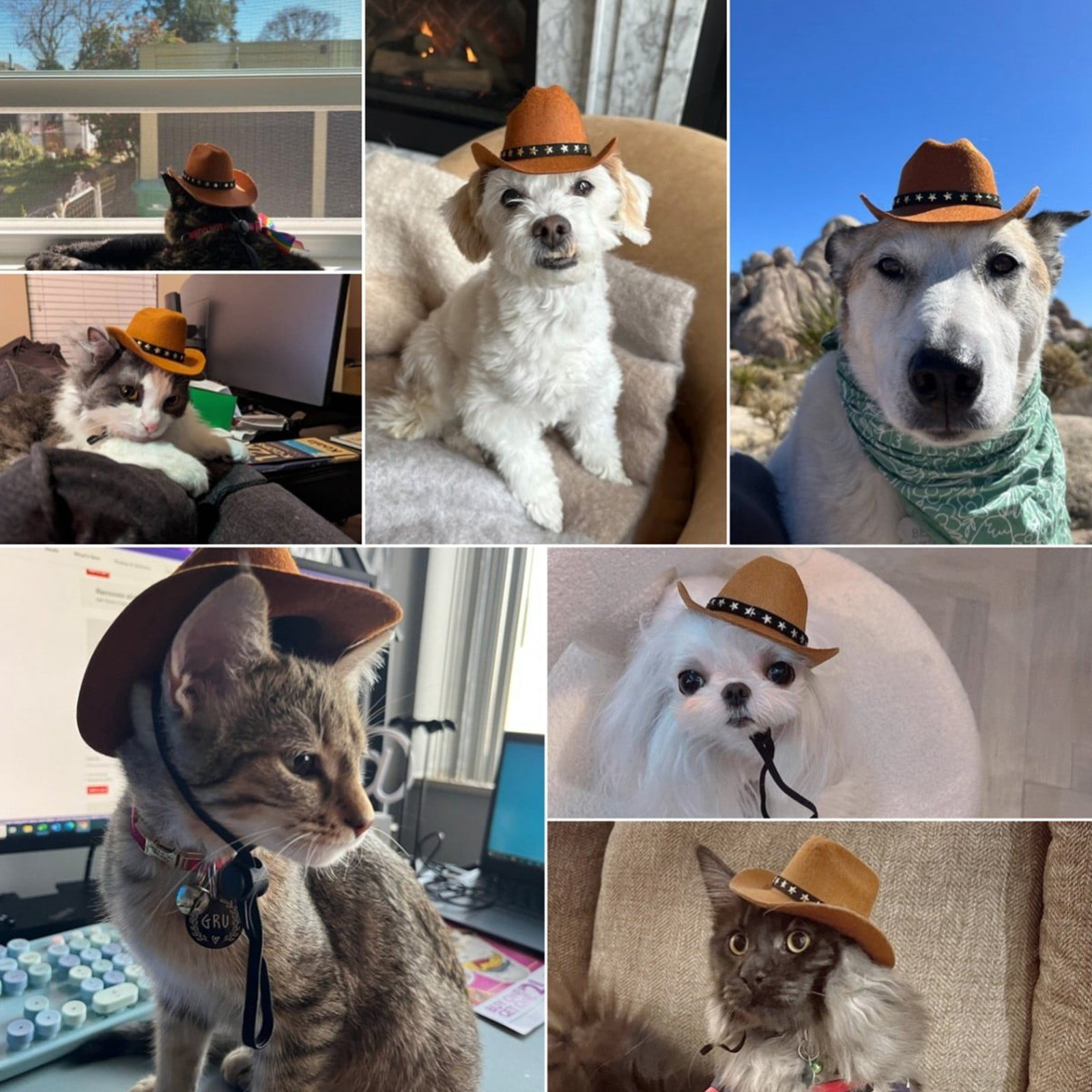 Coffee Star Decor Pet Cowboy Hat, Adjustable Western Style Pet Headwear, Cute Felt Puppy Kitten Hat for Birthday Party Photo Prop Daily Pet Accessories