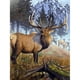 thumbnail image 1 of Taladro diamante pintura (DE4543) 5D DIY Logy completo Elk punto de cruz bordado decoración 45x60cm FLhrweasw Nuevo, 1 of 1