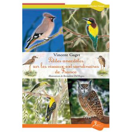 Petites Anecdotes Sur Les Oiseaux Extraordinaires De France Ebook