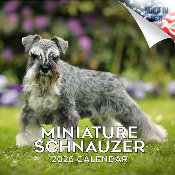 2025 2026 Miniature Schnauzer Calendar - Dog Breed Monthly Wall Calendar - 12 x 24 Open - Thick No-Bleed Paper - Giftable - Academic Teacher's Planner Calendar Organizing & Planning - Made in USA