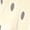 Cream White, variant on Women's High Waist Polka Dot Mesh Midi Ruched Boho Skirts Skirt for Summer Casual White XS