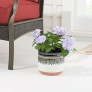 Better Homes & Gardens 8 x 8 x 6.7 Round Black Ceramic Nikolaos Plant Planter