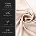 thumbnail image 2 of Fishers Finery 30 Momme 100% Pure Mulberry Silk Pillowcase for Hair & Skin, Grade 6A, Queen, Taupe, 2 Pack, 2 of 7