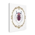 thumbnail image 2 of Trademark Fine Art 'Adorning Coleoptera II' Canvas Art by James Wiens, 2 of 3
