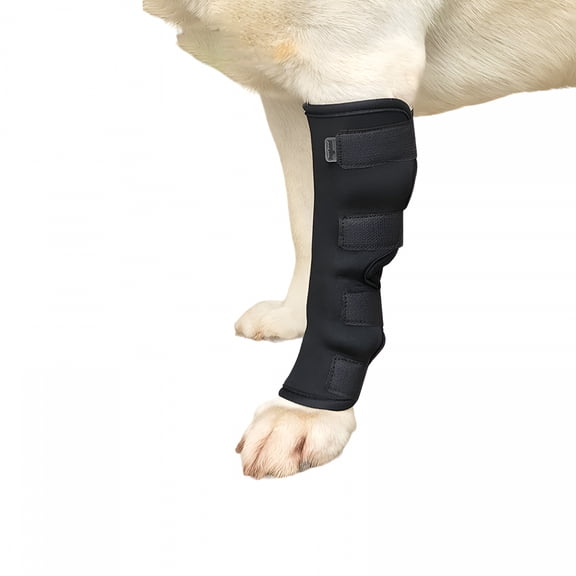 XIRQI Dog Knee Brace for Hind Leg Adjustable Leg Brace Support Keeps the Joint Warm Reduces Pain