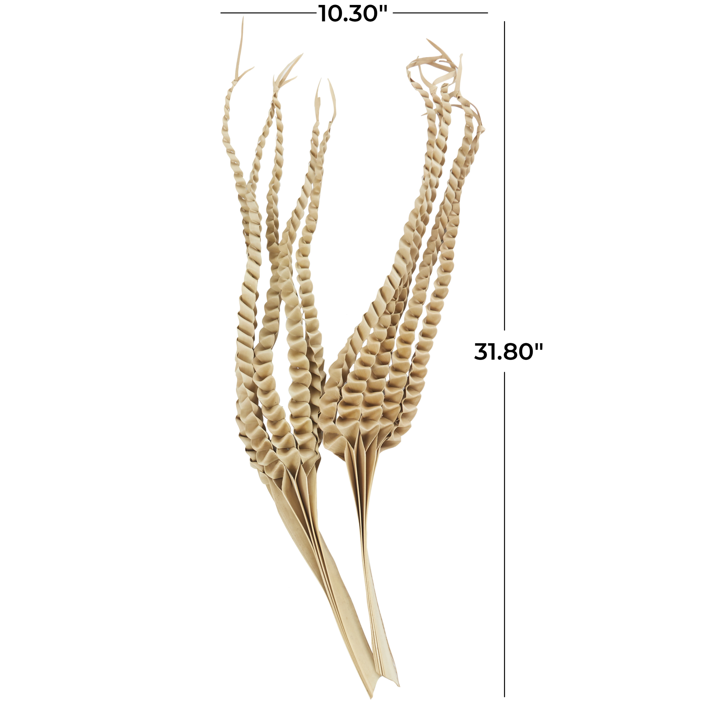 32" Handmade Tall Five Finger Dried Plant Natural Foliage Palm Leaf Bouquet, by DecMode