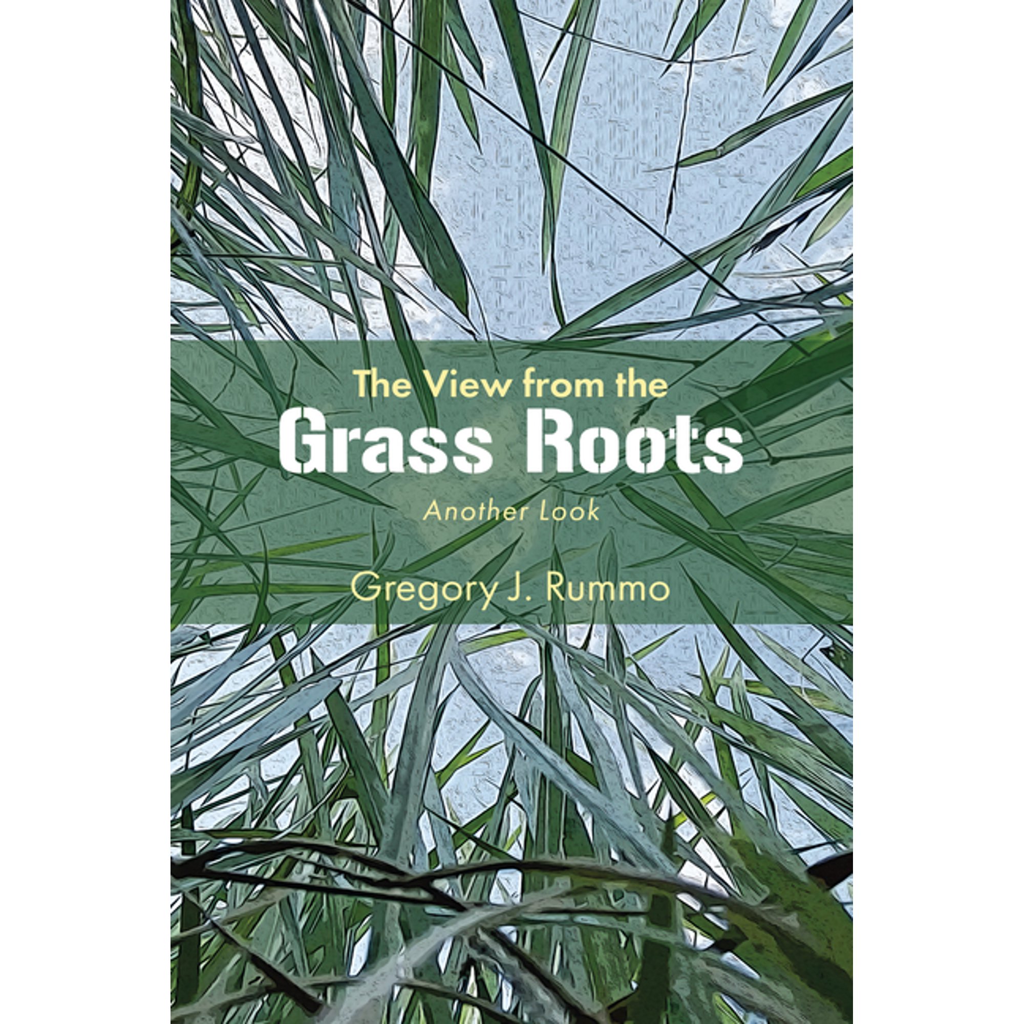 The View from the Grass Roots: Another Look (Paperback)