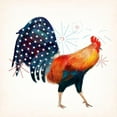 thumbnail image 3 of Borges, Victoria 15x15 Black Modern Framed Museum Art Print Titled - Rooster Fireworks II, 3 of 5