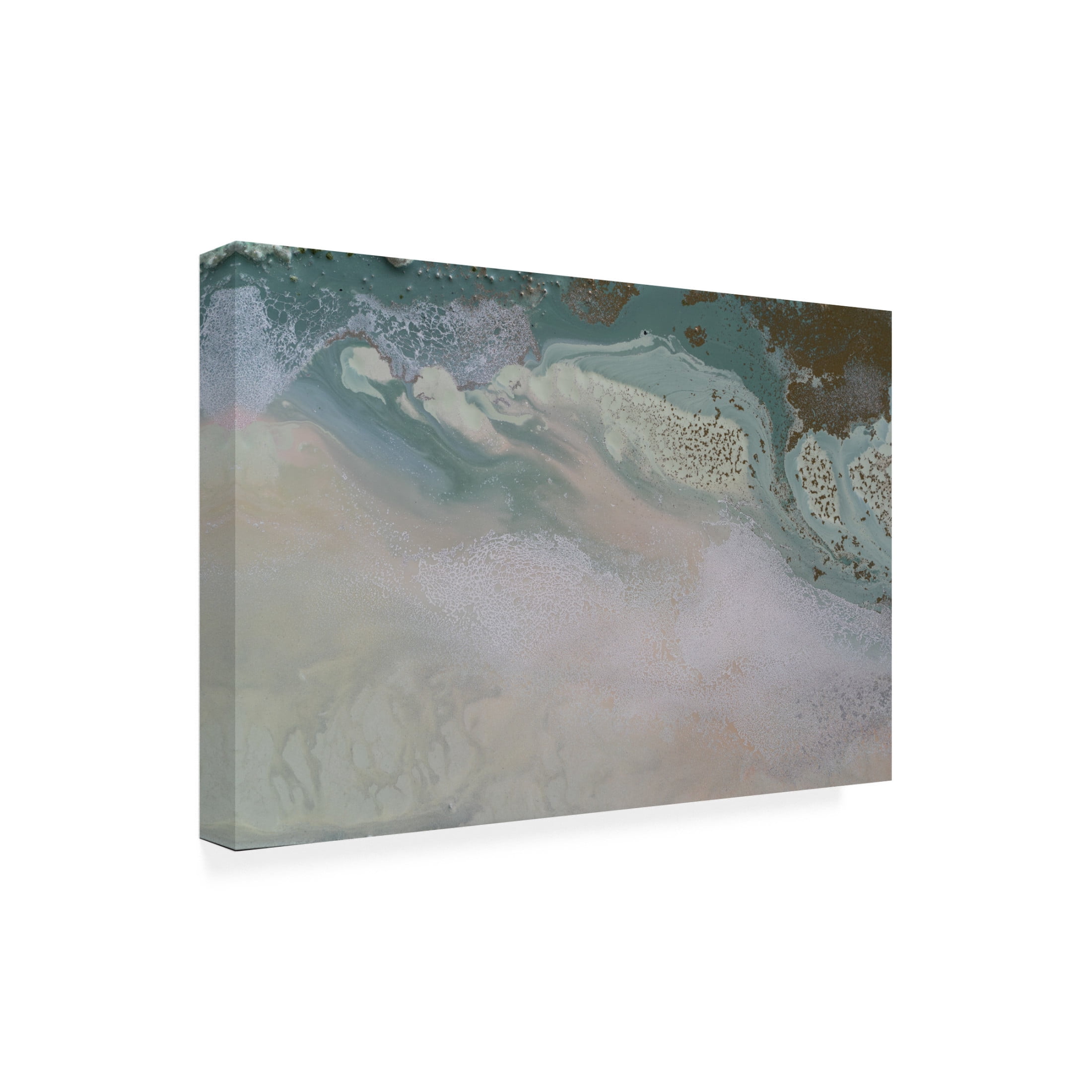 Canvas Wall Art - Petra Meikle de Vlas 'Path of Transformation' Wall Art for Living Room, Bedroom, or Office Décor by Trademark Fine Art - 19 x 12 Inches