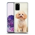 thumbnail image 1 of Head Case Designs Popular Dog Breeds Sitting White Poodle Soft Gel Case Compatible with Samsung Galaxy S20+ / S20+ 5G, 1 of 7