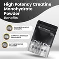 thumbnail image 2 of Nutrawave Poudre de Créatine Monohydrate 300 g – Micronisée pour l'Absorption – 60 Portions, 2 of 11