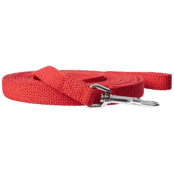 OmniPet Leather Brothers Web Lead for Pets, 10', Red