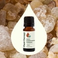 thumbnail image 3 of Aceite esencial Plant Therapy Organic Frankincenso Frereana, 10 ml, 3 of 9