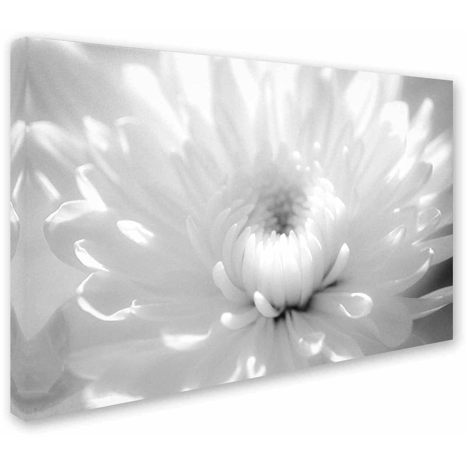 Trademark Fine Art 'Infrared Flower 2' Canvas Art by PIPA Fine Art