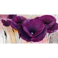 thumbnail image 3 of Zacher-Finet, Isabelle 18x11 Black Modern Framed Museum Art Print Titled - Pavot violet II, 3 of 5