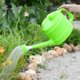 thumbnail image 3 of Regadera con manzana incluida verde 2,5 l JAMW Sencillez, 3 of 5