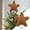 Brown, variant on Noothes Five-Pointed Star Christmas Tree Topper Traditional Holiday Decoration for Indoor Outdoor Use