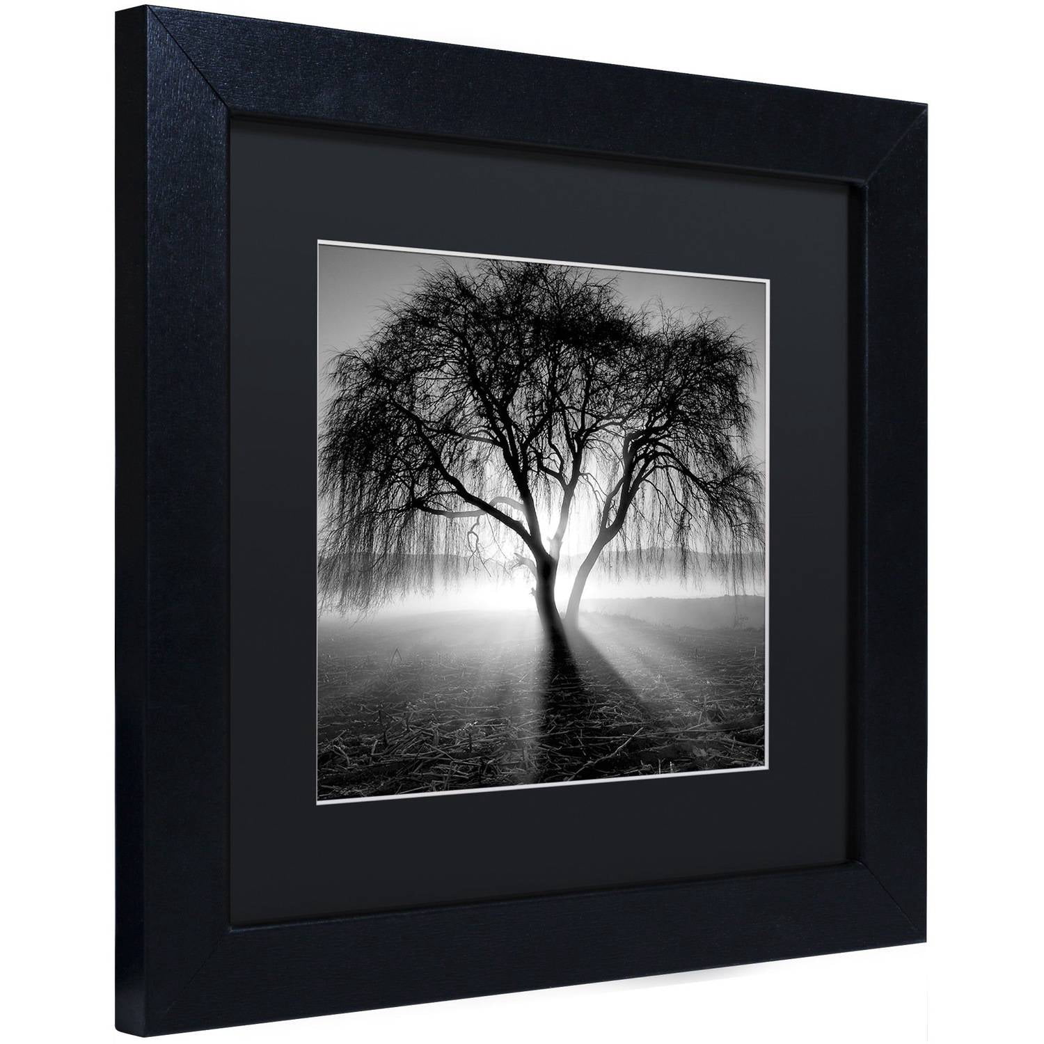 Moises Levy Lightning Tree I Matted Framed Wall Art