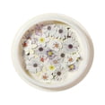 thumbnail image 3 of Xihbxyly Parches para Decoración de Uñas, Láminas de Pulpa de Madera con Flores de Colores, Exquisitos Diseños Florales Secos, Versátiles para Joyería y Fundas de Teléfono, Proyectos Creativos de Bri, 3 of 3