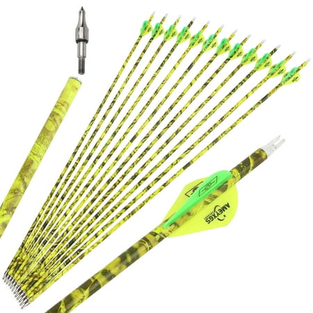 AMEYXGS Archery Carbon Arrows for Compound & Recurve Bows 30 inch Hunting Practice Arrows 12 Pack
