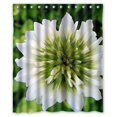 thumbnail image 1 of ABPHQTO Tema de flores Hermosas imágenes de trébol blanco Cortina de ducha Cortina de ducha impermeable 150x180 cm, 1 of 2