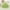 Green, variant on Toddler Baby Dress Tulle Butterfly Pleated Tutu Dress Sleeveless Summer Dress