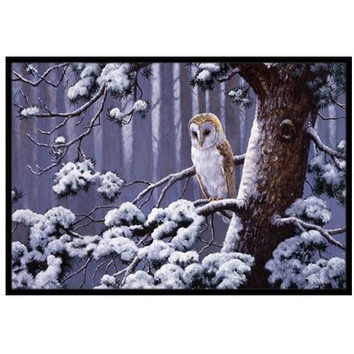 Owl on a Tree Branch in the Snow Doormat by Carolines Treasures