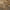 Rust, variant on Addison Rugs Chantille Indoor/Outdoor Transitional Modern Beige Washable Rectangle Rug, 10' x 14'