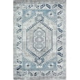 thumbnail image 2 of Freida FY10A Misty Blue Vintage Farmhouse Gray Area Rug, 8'x10', 2 of 5