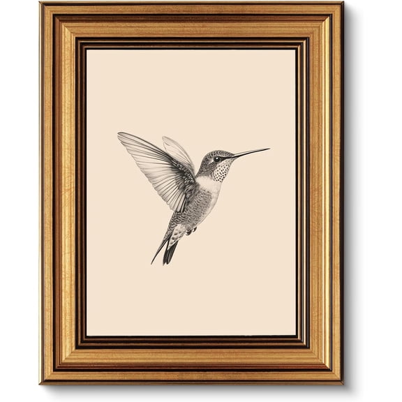 Vintage Gold Framed Wall Art, Sketch Birds Canvas Painting, Cute but Exquisite Wall Decor, No Glass No Glare, Suitable for Bedside Tables, Foyer, Bookshelves,【Hummingbird】-10L x 8W