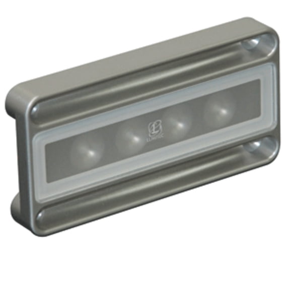 5" Gray and White Nevis Low Profile Engine Room Light